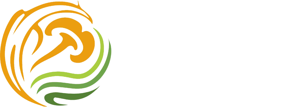 Hubei Heavy Industry Equipment Co., LTD.