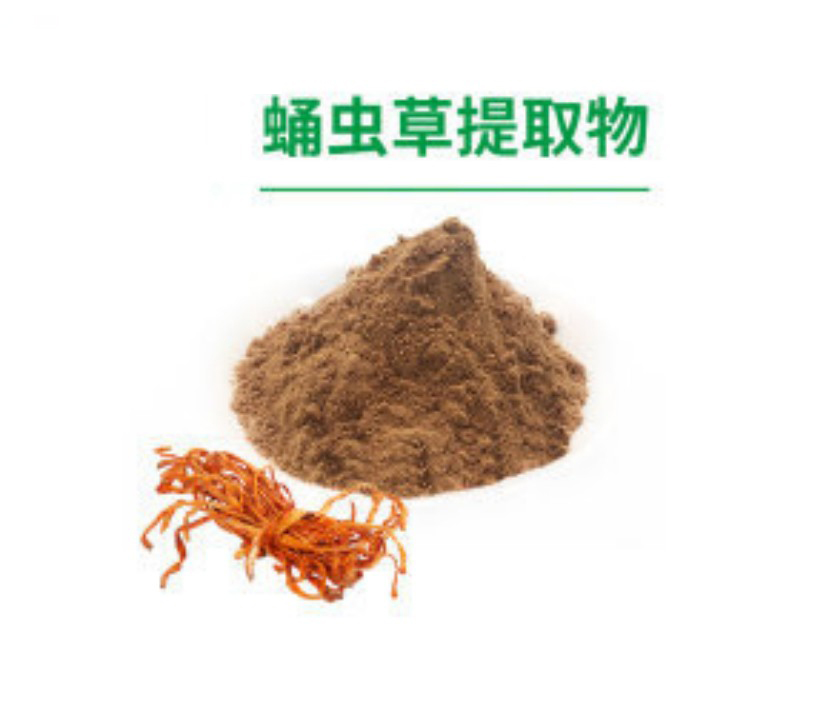 蛹虫草提取物