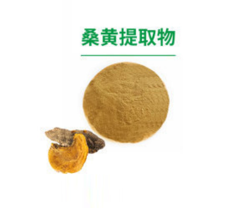 桑黄提取物