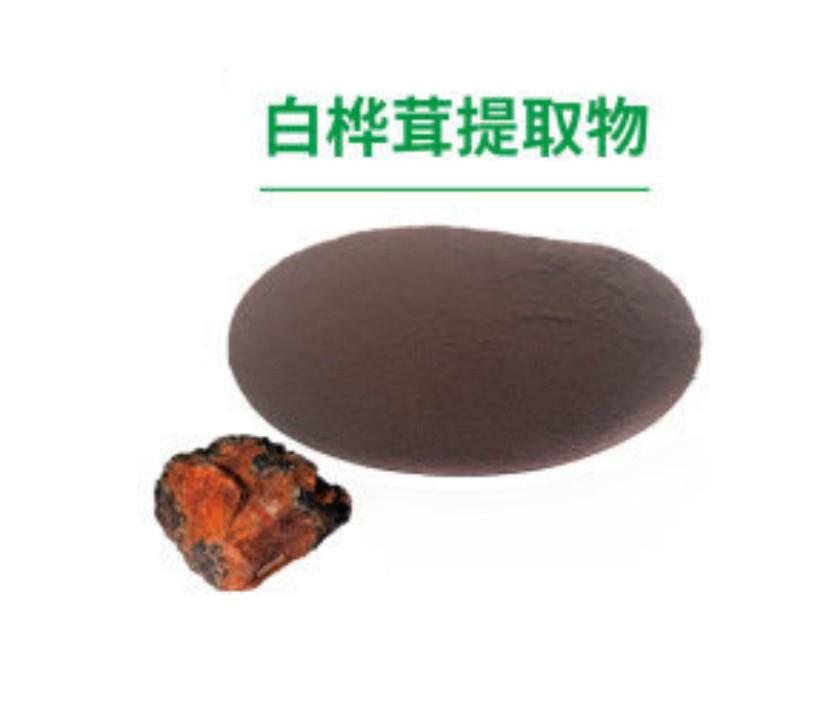 白桦茸提取物