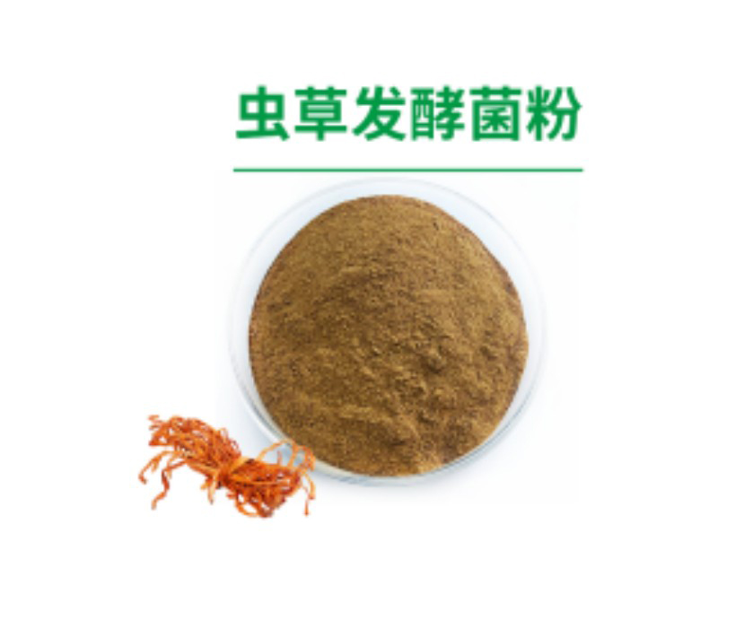 虫草发酵菌粉